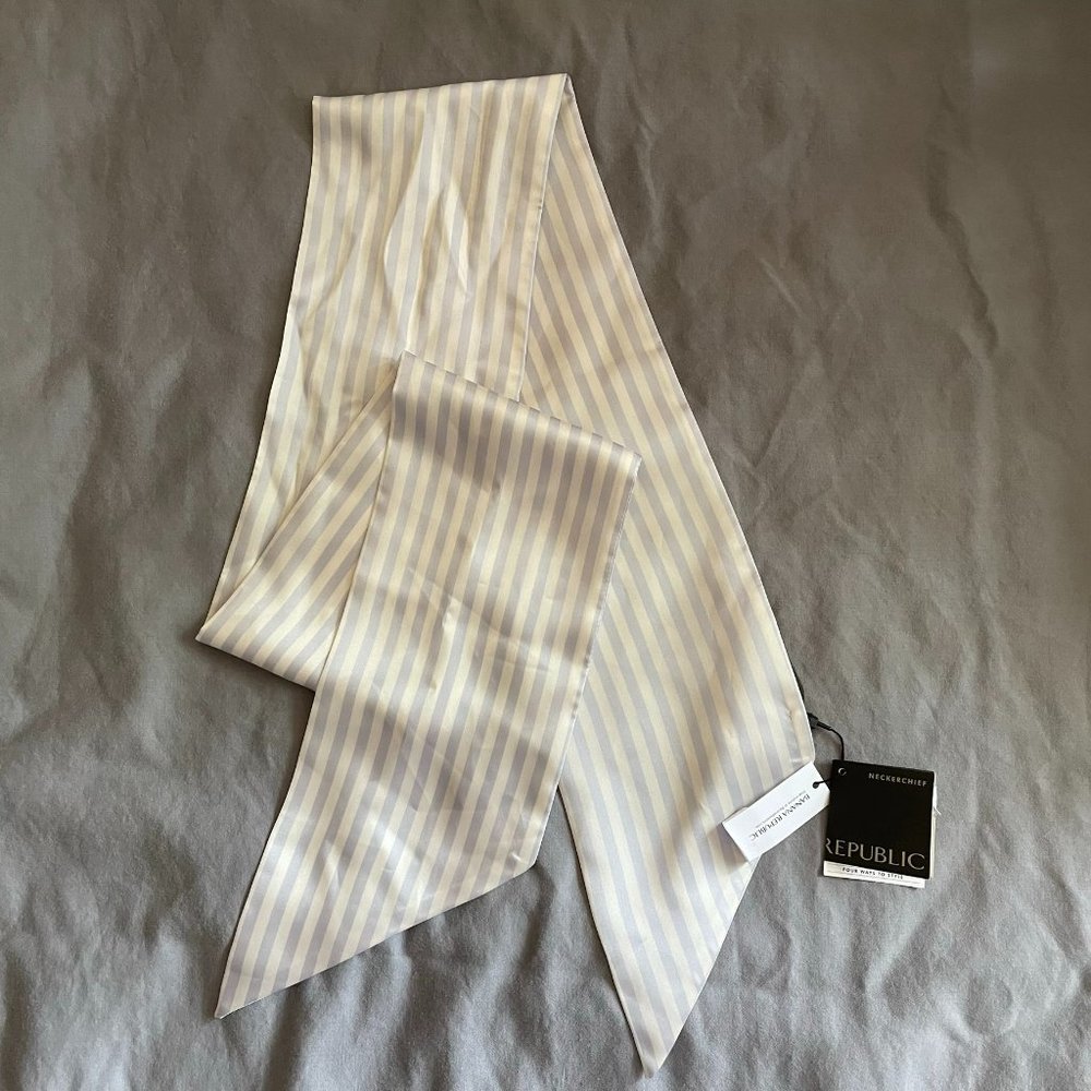 NWT Banana Republic blue and white striped skinny scarf